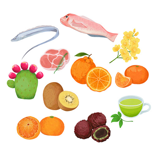 Republic of Korea local specialty Jeju Island object illustration image