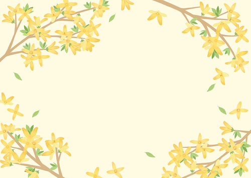 Flower Background_Spring Season Forsythia Illustration