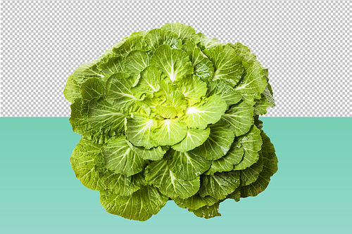 spring winter PNG