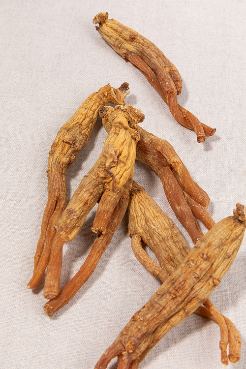 Ginseng Red Ginseng_Red Ginseng Photo Image