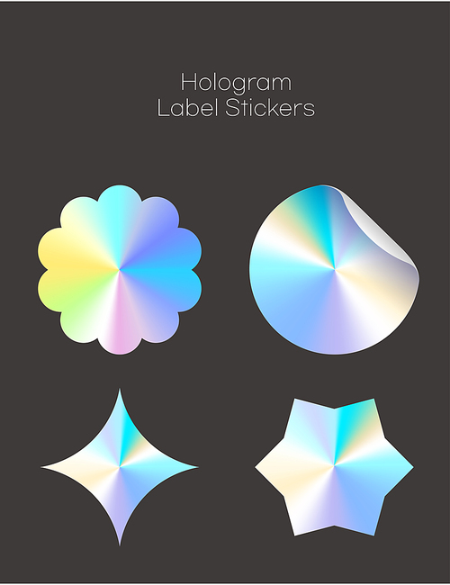 hologram label_vector illustration