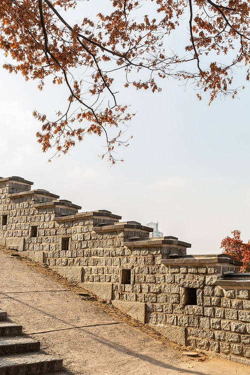 Autumn scenery_Suwon Hwaseong fortress road and autumn view image