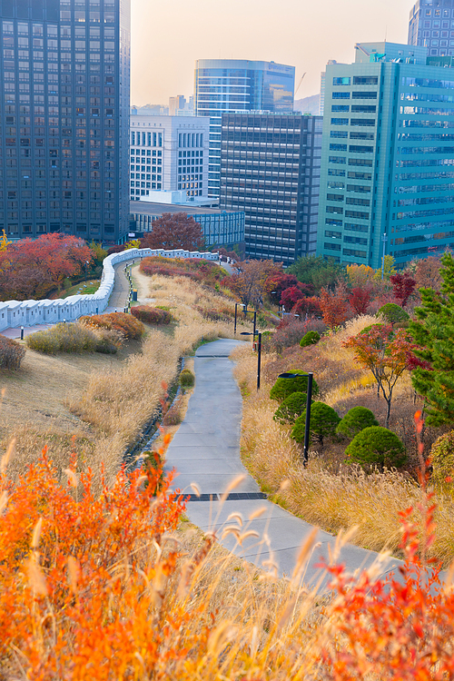 Autumn Scenery_Namsan Park Panoramic Photo Image