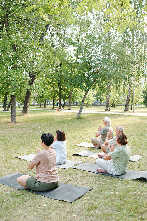 Group of calm mature people focused on meditation sitting with crossed legs on mats in summer park