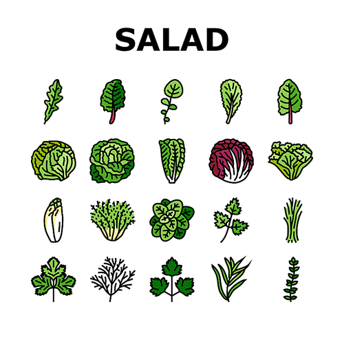 salad food healthy green fresh icons set vector. vegetable bowl, meal lunch, dish dinner, lettuce tomato, plate vegetarian, diet salad food healthy green fresh color line illustrations