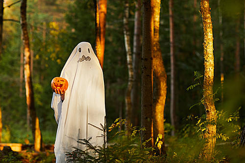 Full length portrait of spooky child dressed as ghost holding pumpkin standing in dark forest on Halloween, copy space