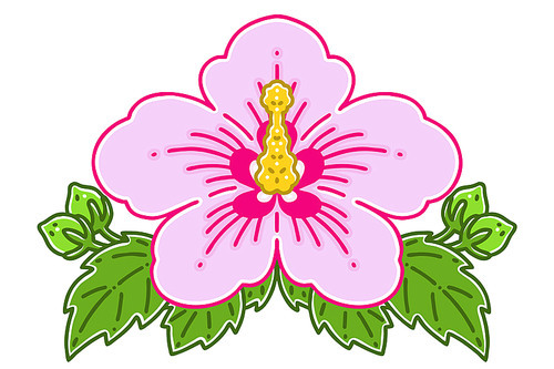 Rose of Sharon, the national flower of Korea. Vector illustration.