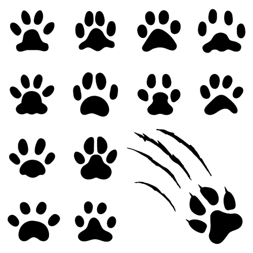 Pets paw footprint. Cat paws prints, kitten foots or dog foot prints. Pet rescue logo puppy footprint marks animal shape wildlife mark dirty isolated vector symbol collection